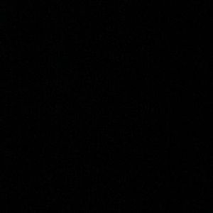 Meet your Posher, Joey